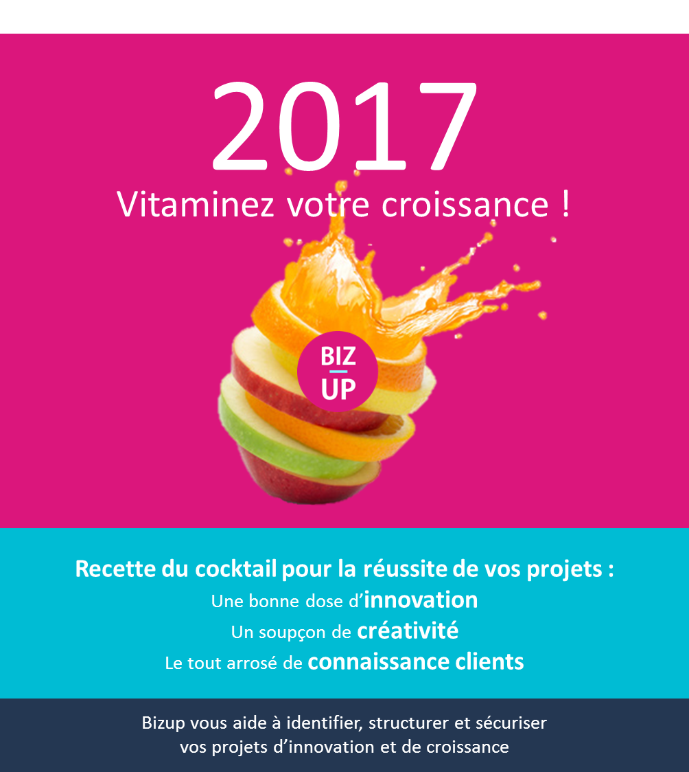 Voeux 2017 - Blog